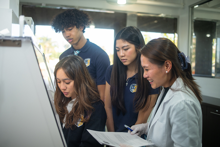 Strengths of the MYP