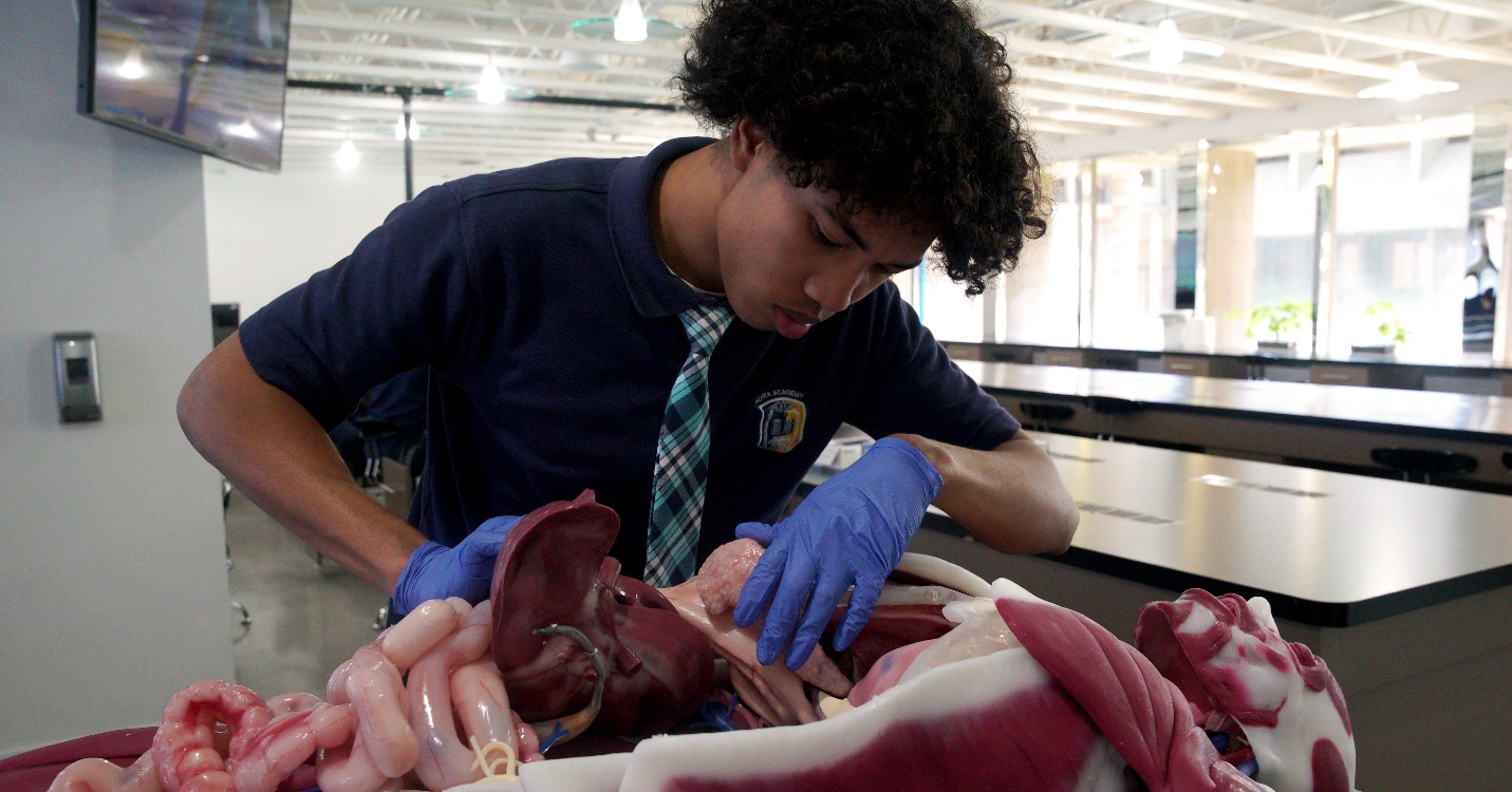 University-Level Science at AURA Academy