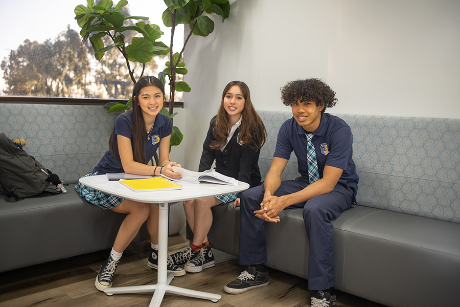 AURA-languages-and-communication