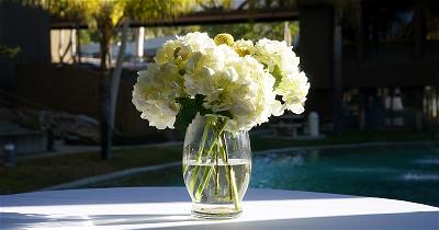 photo of activities at auracademy 01