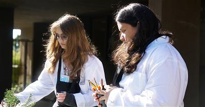 photo of activities at auracademy 50